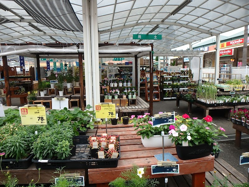 コーナン大正千島店 大阪府大阪市大正区千島 ホームセンター ホームセンター グルコミ