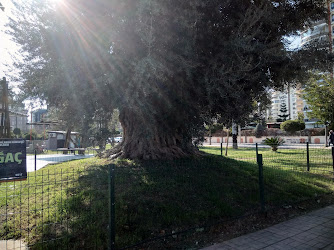 Mezitli Belediyesi Demokrasi Meydanı