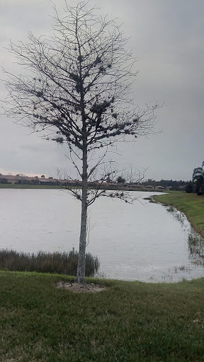 Recreation Center «Apollo Beach Recreation Center», reviews and photos, 664 Golf and Sea Blvd, Apollo Beach, FL 33572, USA