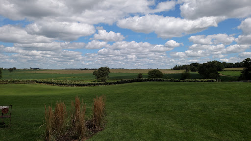 Vineyard «Ardon Creek Vineyard and Winery», reviews and photos, 2391 Independence Ave, Letts, IA 52754, USA