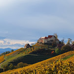 Photo n°1 de l'avis de Dany.i fait le 25/12/2017 à 00:46 sur le  Hotel Restaurant Rebstock Durbach à Durbach