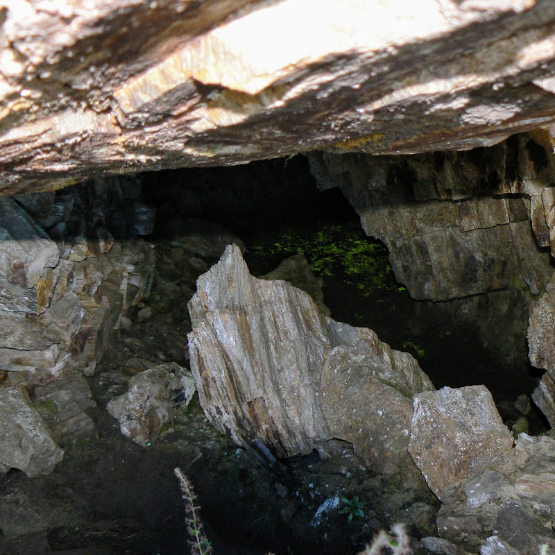 3 image