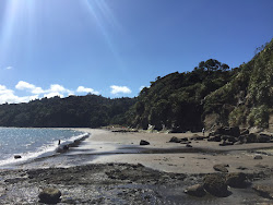Φωτογραφία του Kaitarakihi Beach παροχές περιοχής