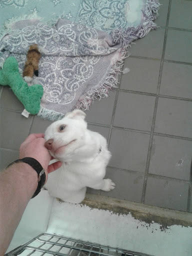 Pet Store «Feeders Supply», reviews and photos, 229 E Lewis and Clark Pkwy, Clarksville, IN 47129, USA