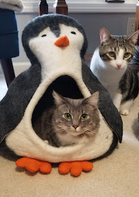 Pets Discount - Natural & Organic Pet Food - Photo 6 - Car repair in Omaha, NE, Jacksonville