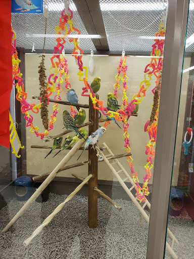 Pet Supply Store «Petco Animal Supplies», reviews and photos, 801 W Lake Ave, Peoria, IL 61614, USA