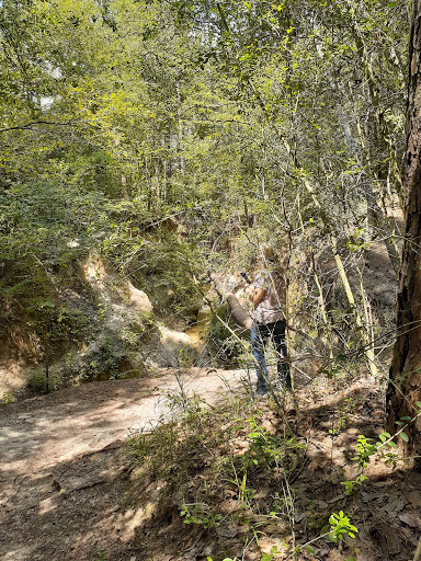 Golf Club «Holly Lake Ranch Golf Club», reviews and photos, 210 Golf Drive, Holly Lake Ranch, TX 75765, USA