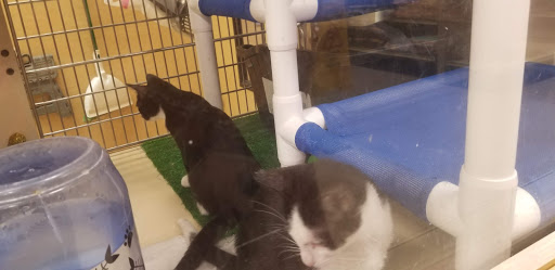 Pet Supply Store «PetSmart», reviews and photos, 3 McKenna Rd, Arden, NC 28704, USA