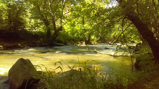 Nature Preserve «Glendale Shoals Preserve», reviews and photos, Emma Cudd Rd, Spartanburg, SC 29302, USA