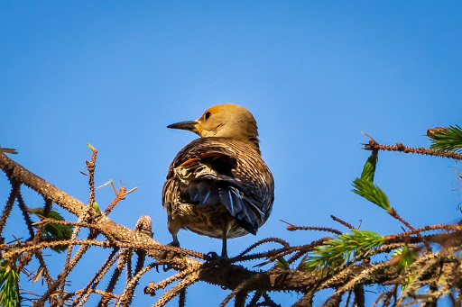 Country Club «Astoria Golf & Country Club», reviews and photos, 33445 Sunset Beach Rd, Warrenton, OR 97146, USA