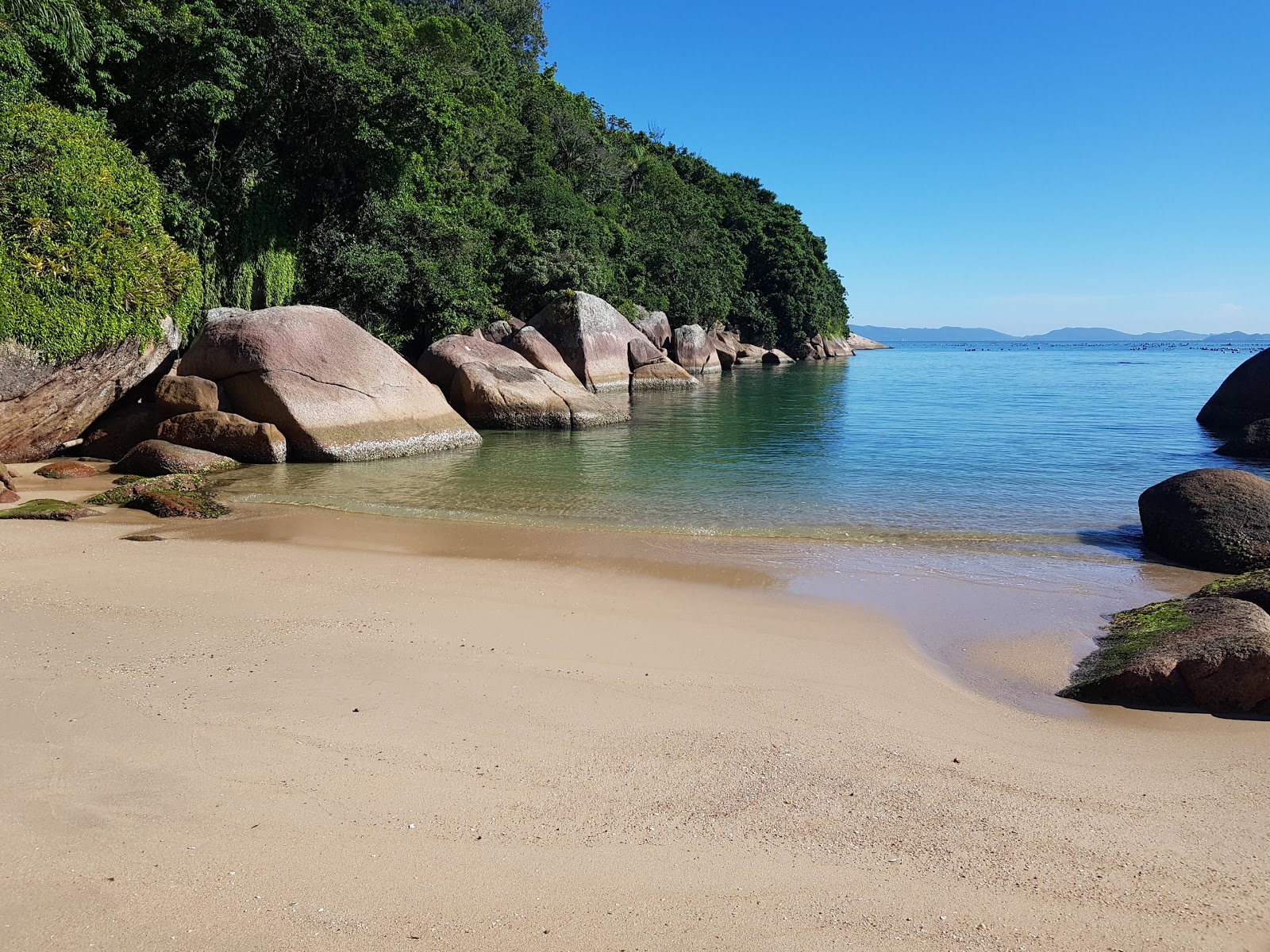Photo de Prainha das Pedras avec un niveau de propreté de très propre