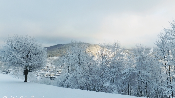 Ch'ti Gérômois - Location Vacances Gerardmer à Gérardmer (Vosges 88)