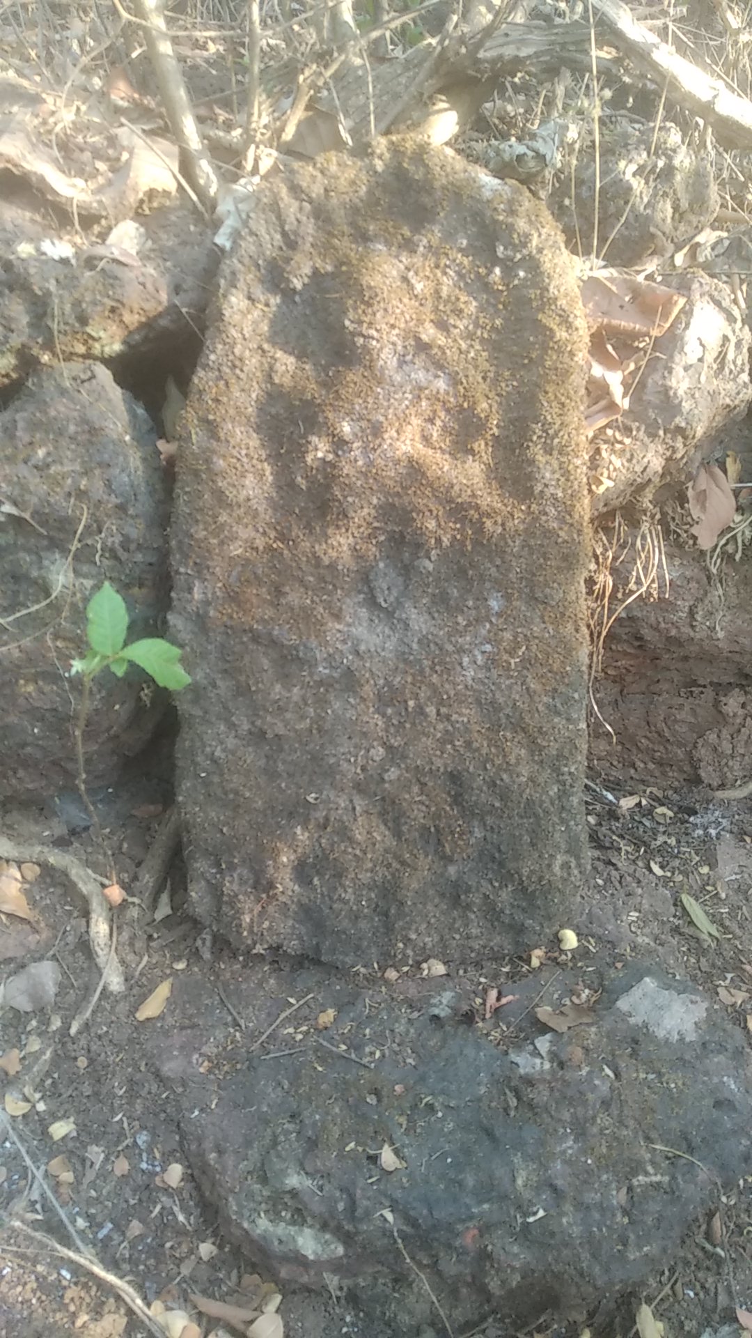 टोकातला देव तळवली