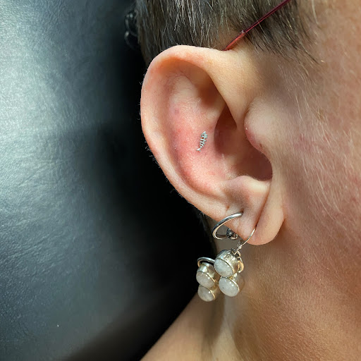 Explore seahawks tattoo ideas, creative tattoo ideas in Cary, available at Fine Art Body Piercing By Lilith Mae