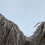 Photo n°3 de l'avis de Emi.l fait le 13/08/2022 à 13:00 sur le  Da Maurizio à Chioggia