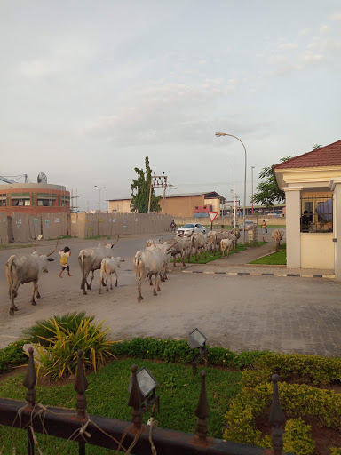 Lightwell Garden Estate, Dan Suleiman Street, Utako, N Okonjo-Iweala Way, Utako, Abuja, Nigeria, Construction Company, state Federal Capital Territory