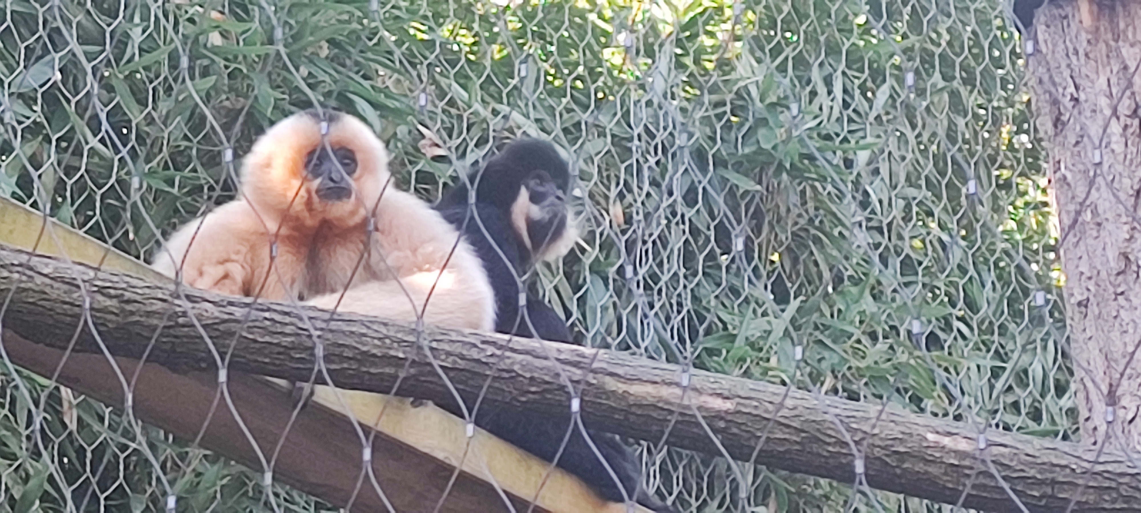 Photo n° 26 de l'avis de Thierry.i fait le 28/09/2023 à 17:40