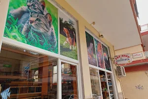 Pet Shop image