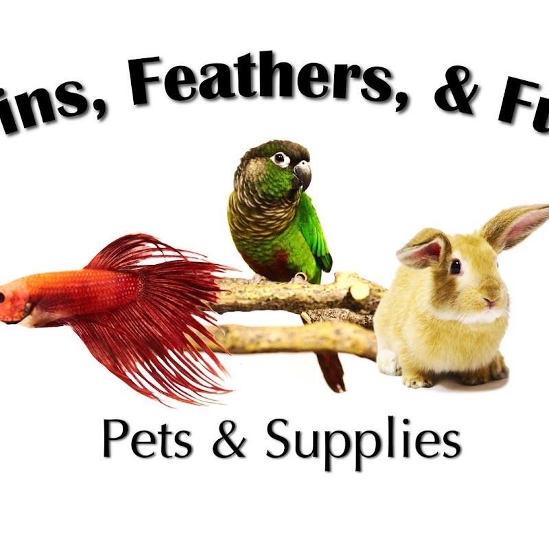 Fins Feathers & Fur Pets & Supplies