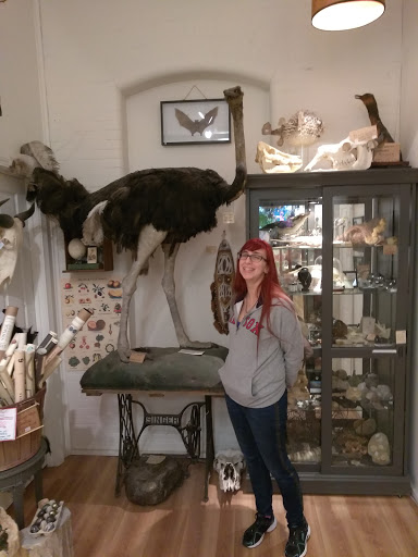 Gift Shop «The Rock and Art Shop», reviews and photos, 36 Central St, Bangor, ME 04401, USA