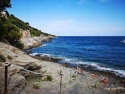 Zdjęcie Spiaggia del Porteghetto z przestronna linia brzegowa