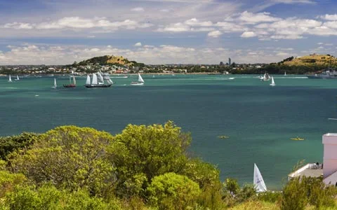 Auckland Scenic Tours image