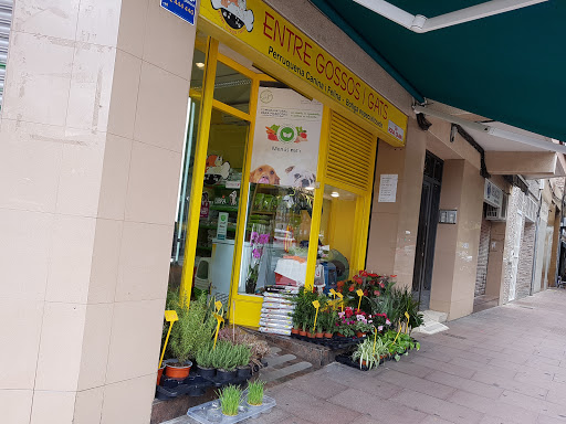 Entre Gossos i Gats - Santa Eulàlia de Ronçana