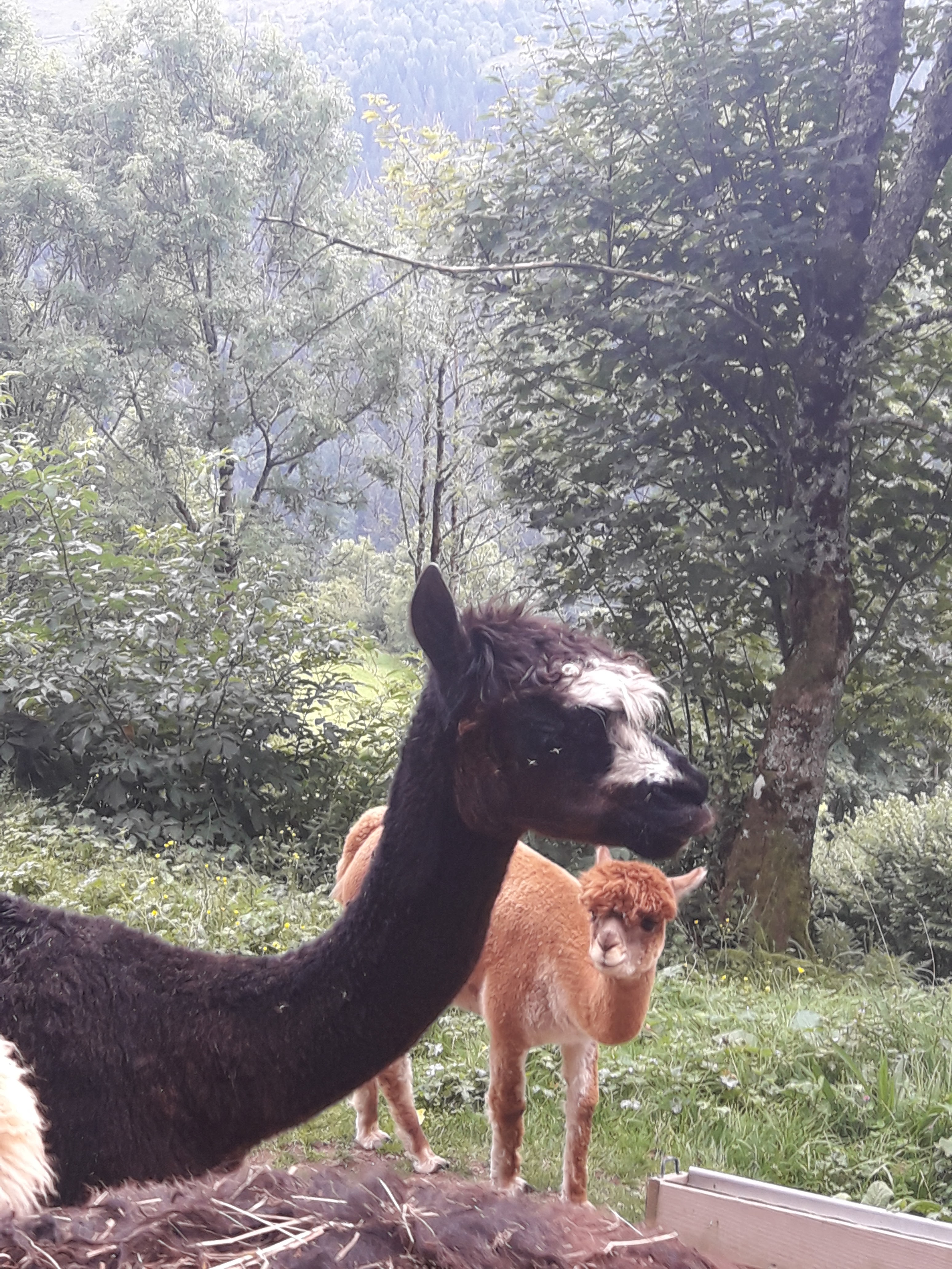 Photo n° 5 de l'avis de NicoW.8 fait le 16/08/2017 à 16:40