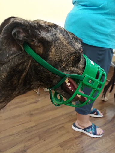 Pet Supply Store «PetPeople», reviews and photos, 3330 Washtenaw Ave, Ann Arbor, MI 48104, USA