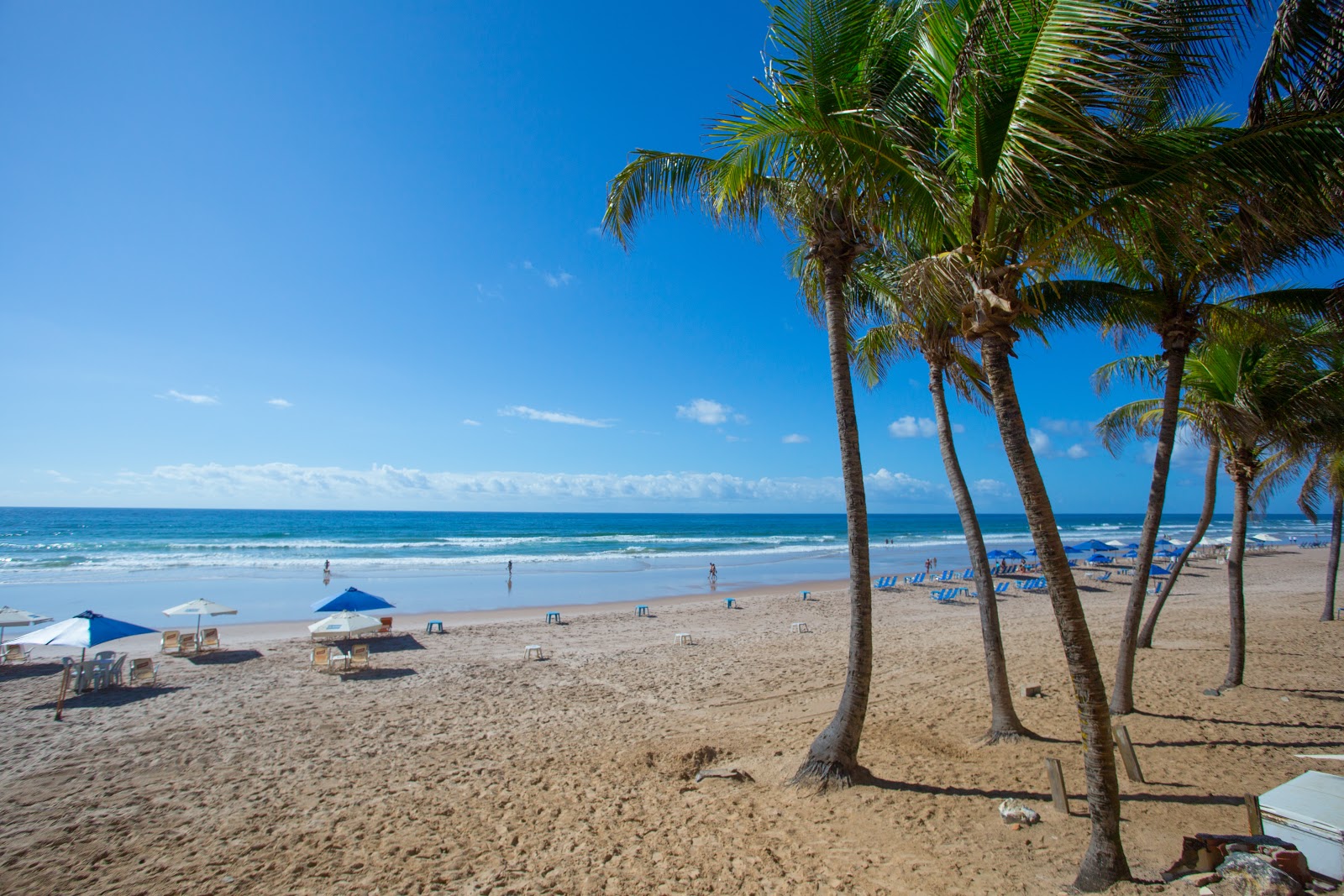 Praia do Flamengo的照片 带有碧绿色纯水表面