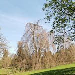 Photo n°3 de l'avis de Malte.c fait le 23/04/2019 à 00:37 sur le  Schloss Rauischholzhausen à Ebsdorfergrund