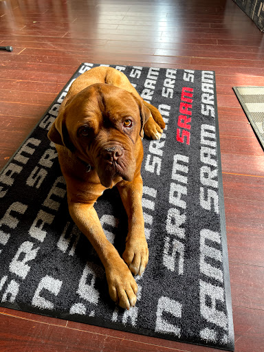 Bicycle Store «Cycle Works», reviews and photos, 1420 Mission St, Santa Cruz, CA 95060, USA