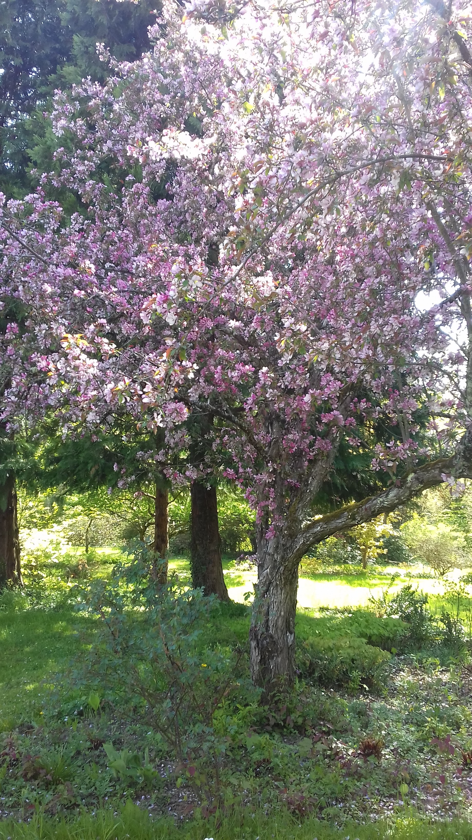 Photo n° 2 de l'avis de Coco88. fait le 01/05/2019 à 22:41