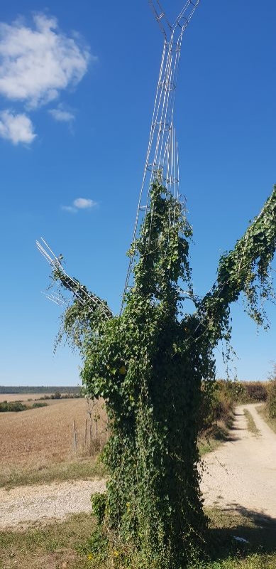 Photo n° 3 de l'avis de Frank.l fait le 25/09/2018 à 12:29