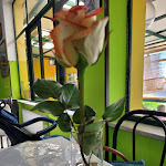 Photo n°11 de l'avis de Dario.h fait le 27/04/2023 à 06:50 sur le  Ristorante Douce Atmosphere à Ercolano