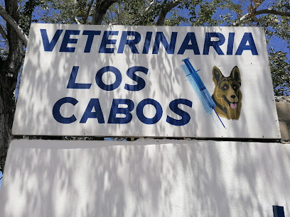 Veterinaria Los Cabos