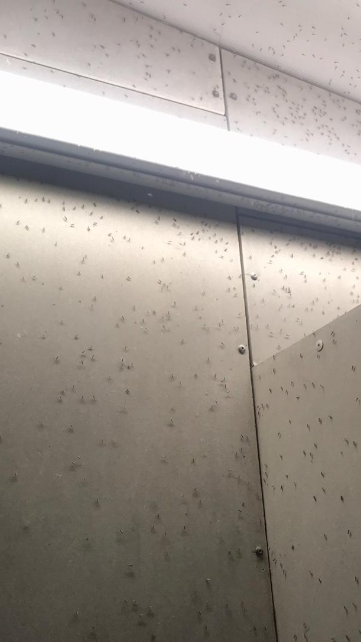 Photo n° 1 de l'avis de Moritz.s fait le 26/08/2019 à 09:20