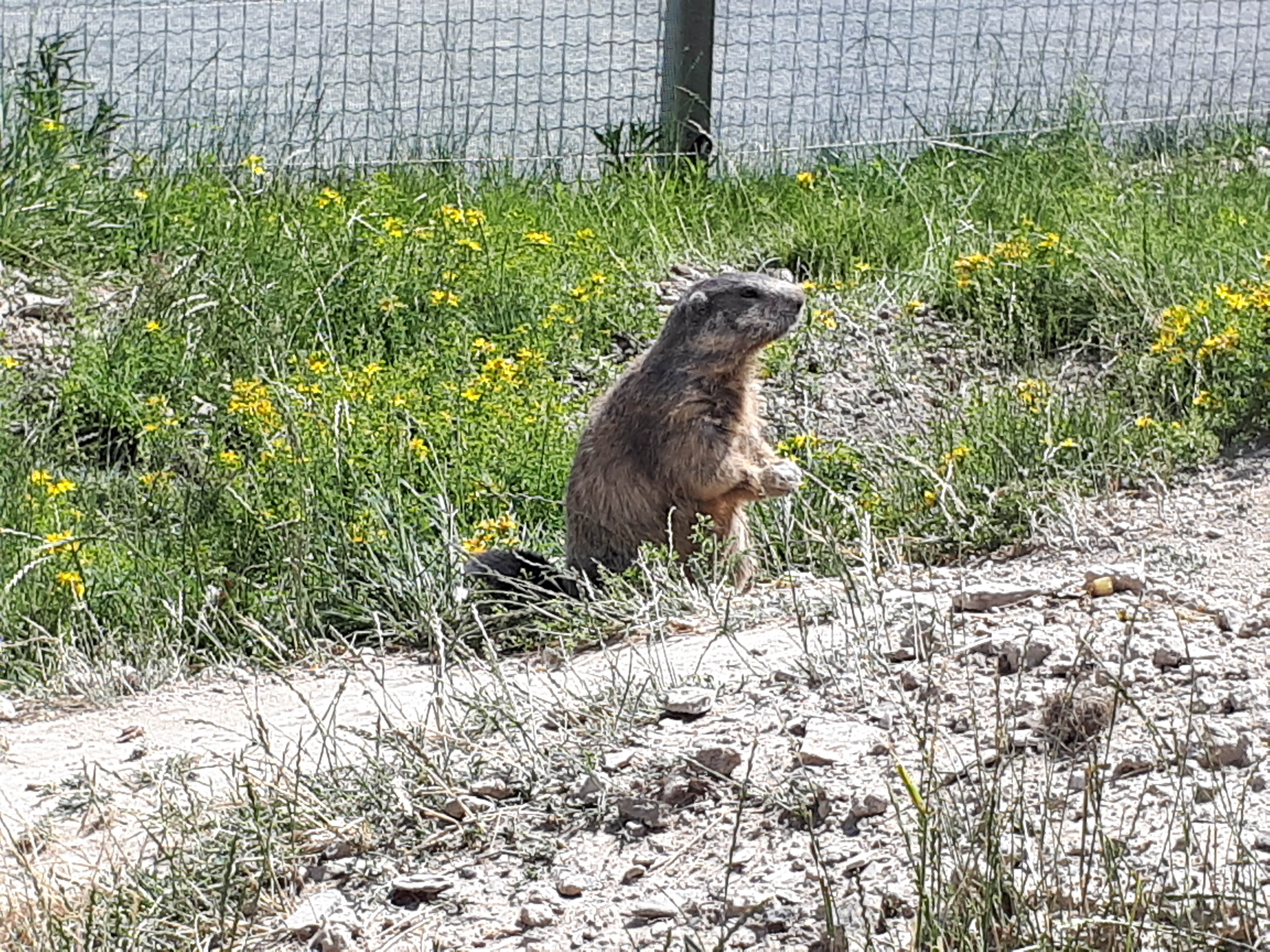 Photo n° 1 de l'avis de Sire.E fait le 06/07/2019 à 17:27