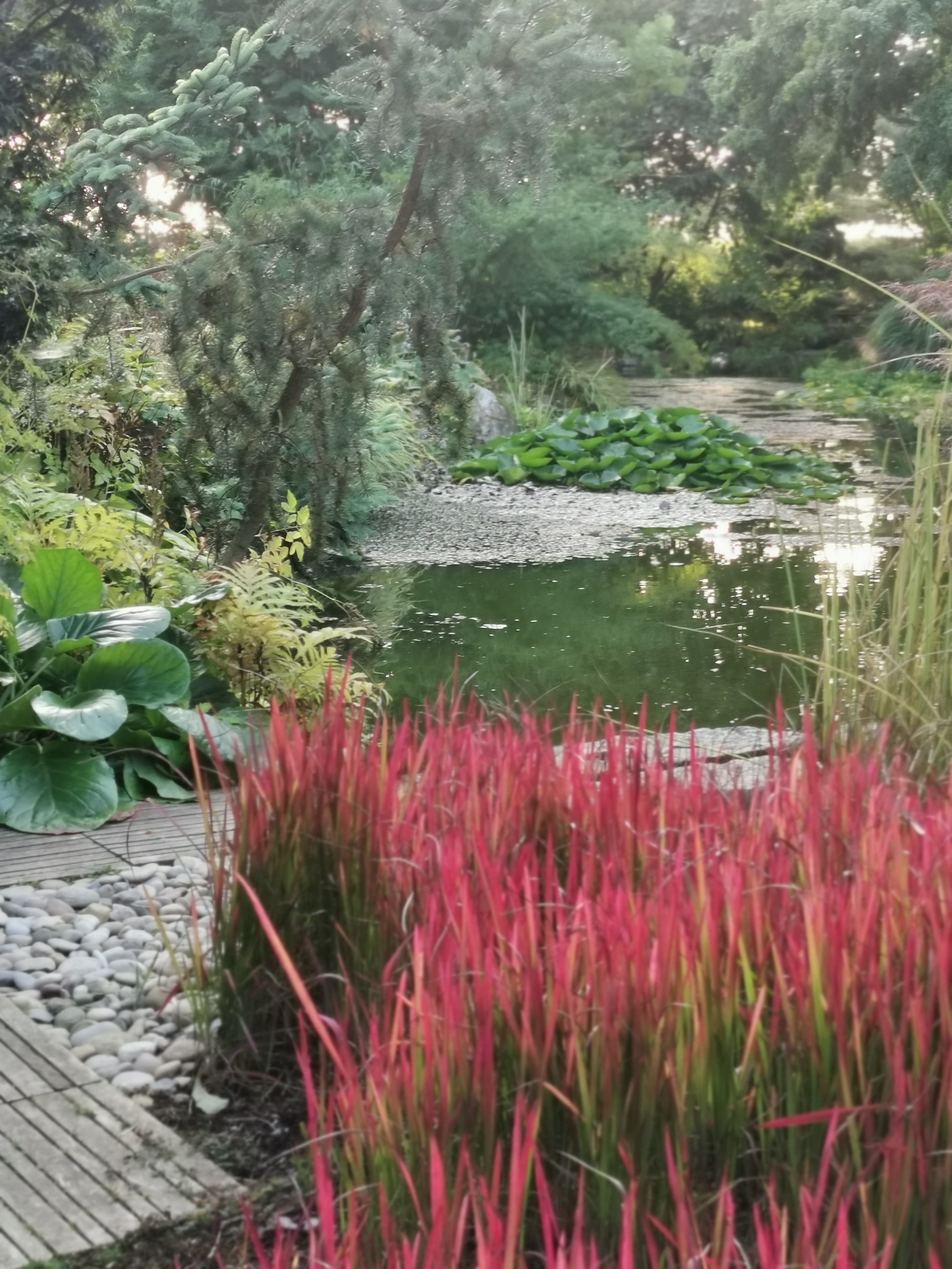 Photo n° 1 de l'avis de Ingke.u fait le 21/09/2019 à 17:47