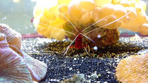 Pet Supply Store «Sunflower Natural Pet Supplies», reviews and photos, 514 Pillsbury Dr, Manhattan, KS 66502, USA