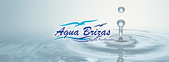 Opiniones de Agua Brizas SpA en La Cisterna - Spa
