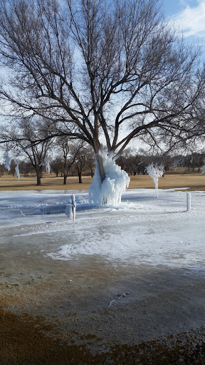 Golf Course «Meadowbrook Golf Course», reviews and photos, 601 Municipal Dr, Lubbock, TX 79403, USA