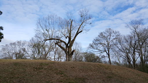 State Park «Vicksburg National Military Park», reviews and photos, 3201 Clay St, Vicksburg, MS 39183, USA