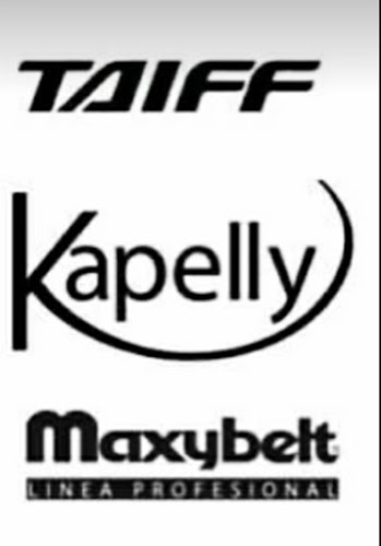 DIGESIL EIRL - Callao