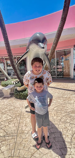 Gift Shop «Big Shark», reviews and photos, 2715 N Atlantic Ave, Daytona Beach, FL 32118, USA