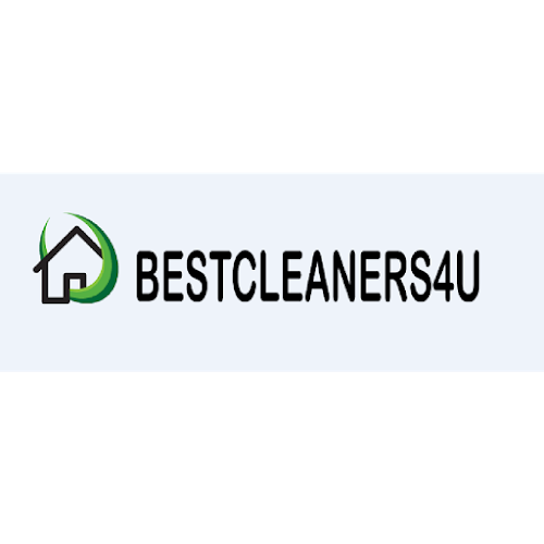 Comments and reviews of BestCleaners4U