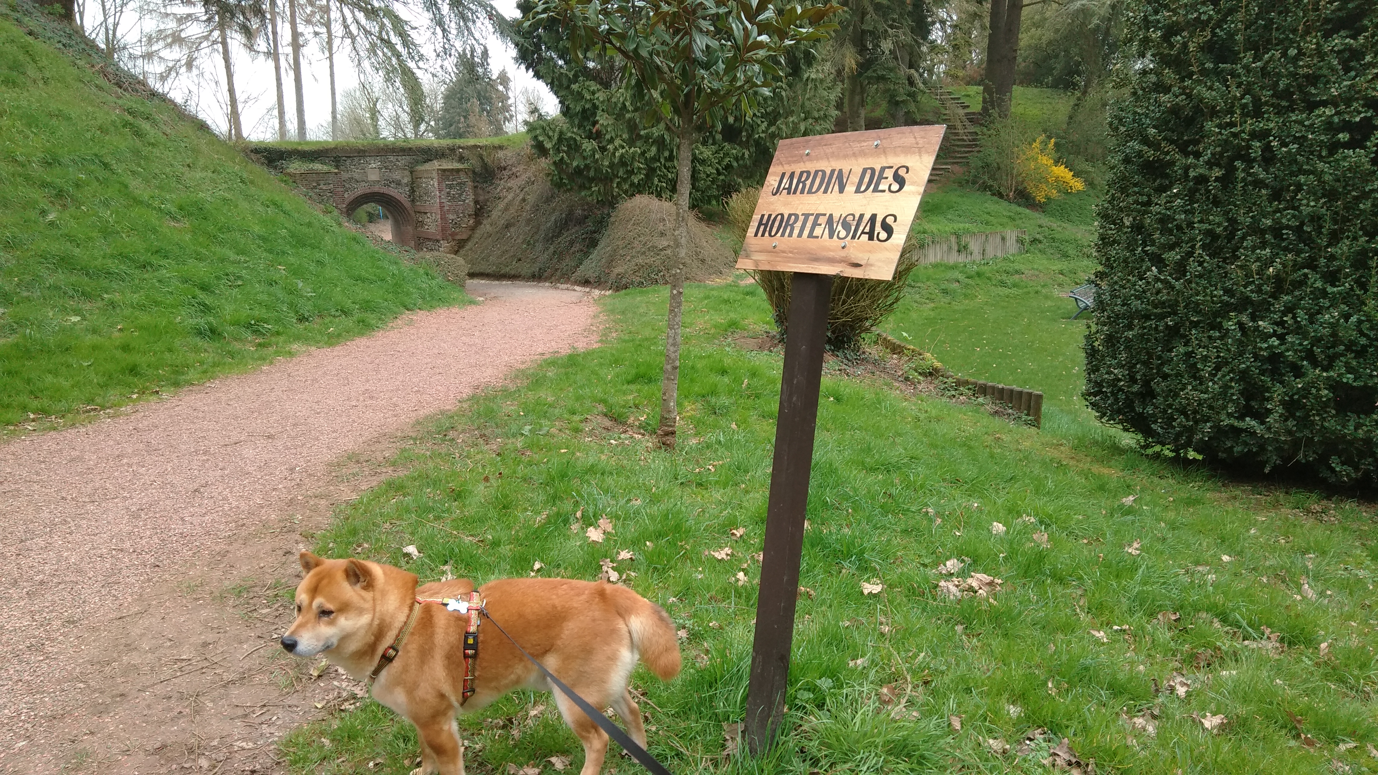 Photo n° 4 de l'avis de François.g fait le 23/03/2019 à 18:39
