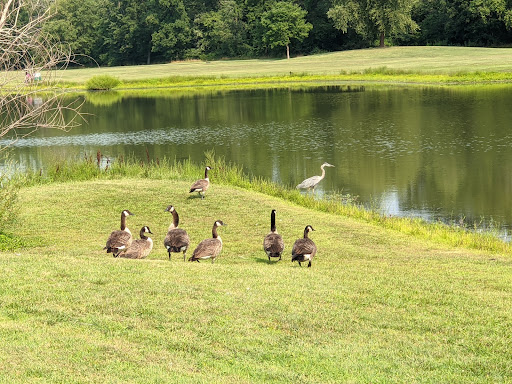 Country Club «Culpeper Country Club», reviews and photos, 2100 Country Club Rd, Culpeper, VA 22701, USA