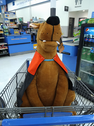 Department Store «Walmart Supercenter», reviews and photos, 890 E Main St, Ephrata, PA 17522, USA