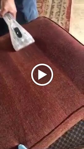 Carpet Cleaning Service «Indy Carpet Cleaning», reviews and photos, 5541 Guilford Ave, Indianapolis, IN 46220, USA